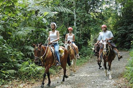  Manuel Antonio National Park by Horseback Riding Tour