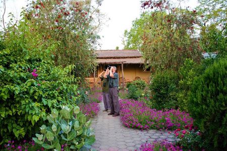 Nepal Birding