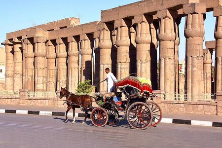 3-Hour Private Luxor Horse Carriage City Tour