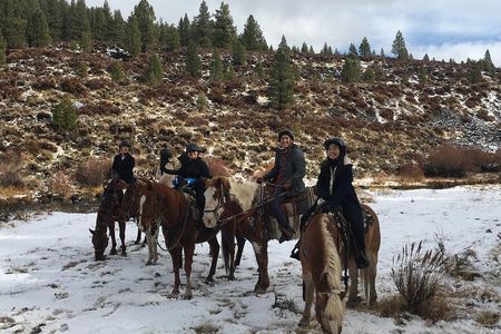 Horseback Riding Adventure from Reno