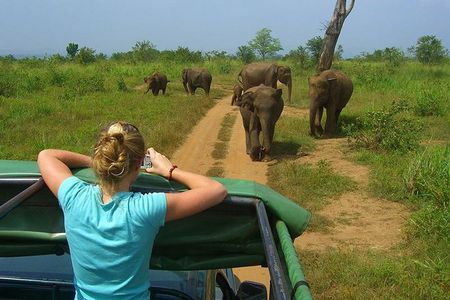 Day tour to Udawalawe from Colombo