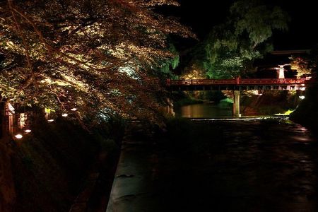 Ghost Stories and Nightlife Tour of Takayama (Private Tour - Price per Group)