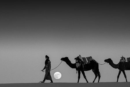 Shared 3 days tour From Marrakesh to Fes via Merzouga desert