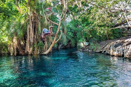 MATERUNI waterfalls, coffe tour & kikuletwa hotsprings