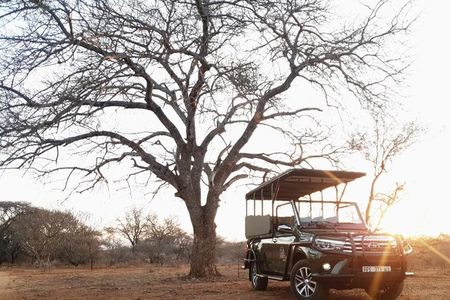 Full Day Kruger National Park 