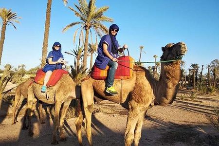 Overnight Luxury Desert Trip Form Fez To Fez