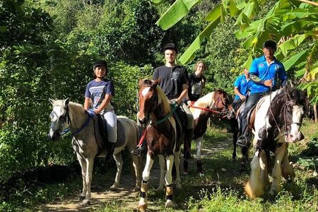 Horseback Riding 1 hour trail