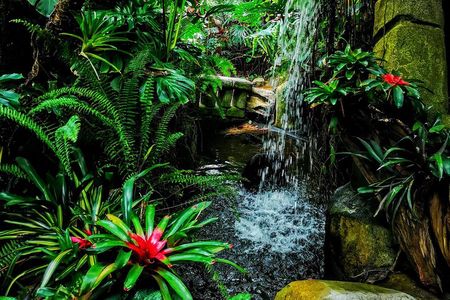 Ultimate Group Package Tour of Victoria