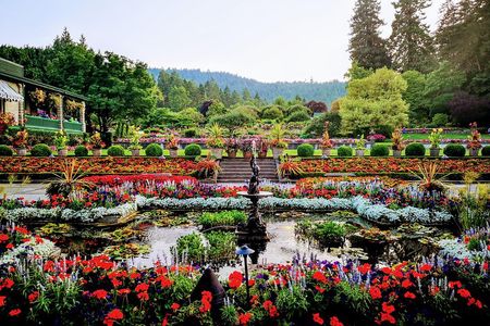 Victoria & The Butchart Gardens:Deluxe City and Garden Experience