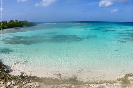 Small Group Snorkeling at Mangel Halto Aruba