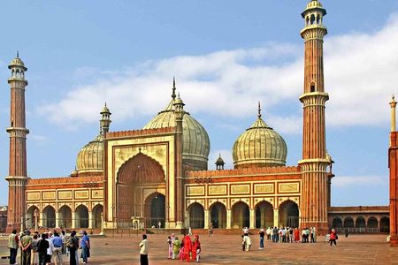 Customizable Private Delhi Tour with Professional Tour Guide