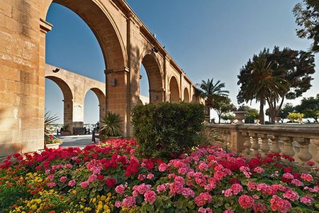 Private 4-hour Walking Tour of Valletta with official tour guide