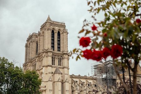 Private Tour: Secrets of Notre Dame & Latin Quarter with a Local 