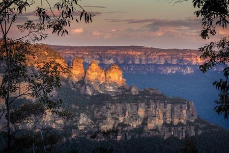 Private Blue Mountains Tour with Kangaroo and Koala Experience