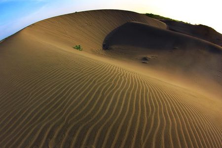 Indonesia Escape (Yogyakarta)