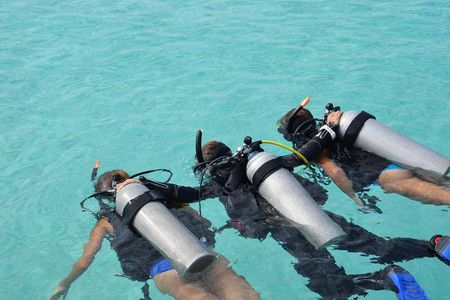 Discovery Scuba Dive.