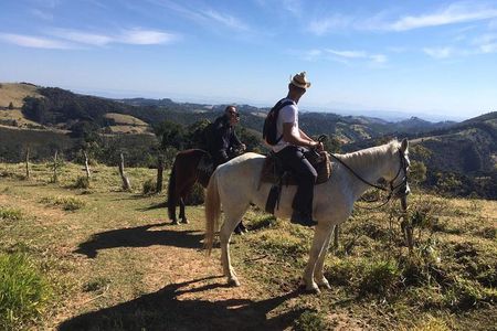 Exclusive Horse Experience with Pic-nic at Belvedere