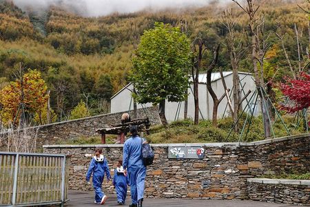 a better Panda Volunteer Experience at the Best panda base - WOLONG