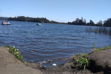 Tour around Alessandri Park & San Pedro de la Paz