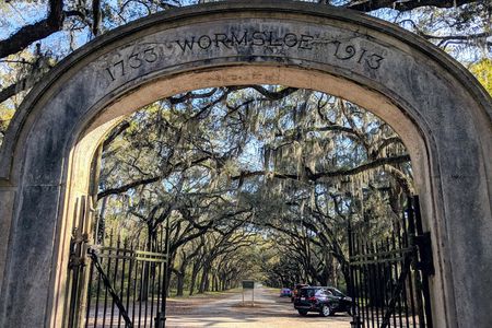 Savannah VIP Tour: Private Full-Day Tour