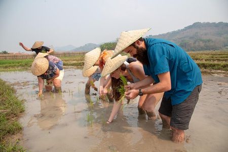 Living Land Rice Farming Experience