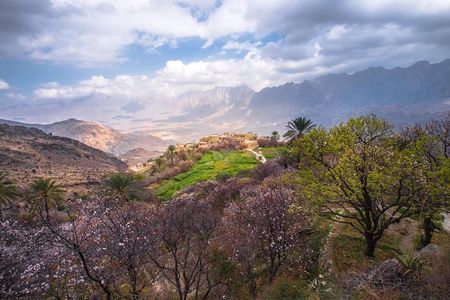 Salalah East & West Combination(Salalah tours):Oman Shore excursions