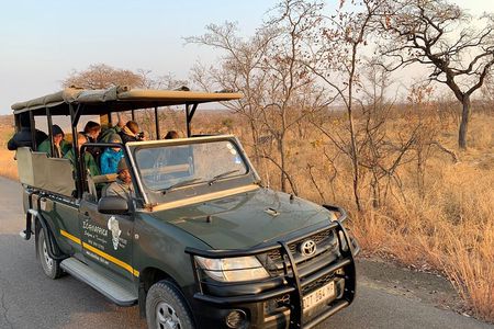 Ultimate Safari to Pilanesberg National Park From Johannesburg