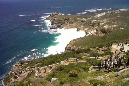 Private Tour with Wine Expert to Cape of Good Hope & Constantia Wine Region