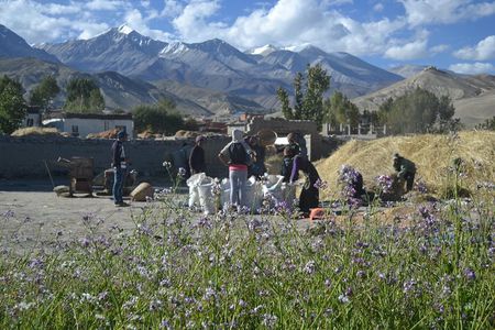 Upper Mustang Trek 