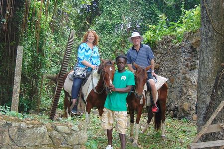 East Coast Horseback Riding & Waterfall Excursion