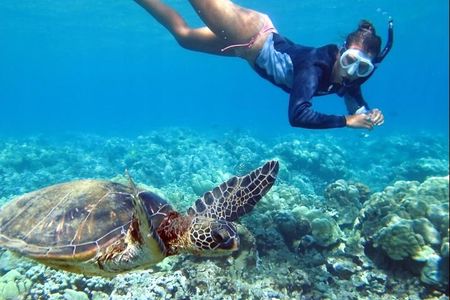 All INCLUSIVE Bali snorkeling at blue lagoon and tanjung jepun