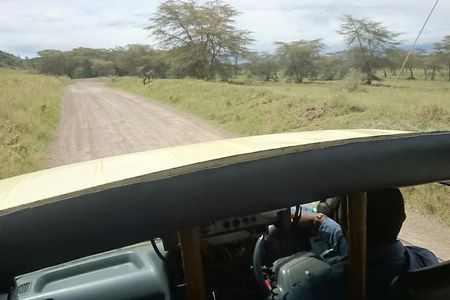Tour Nairobi National Park