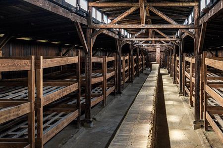 Auschwitz-Birkenau Tour with Transfer