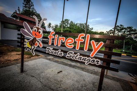 Firefly Tour Include Seafood Dinner with Free Boat Ride from Kuala Lumpur