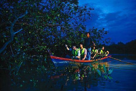 Kuala Selangor Fireflies & Nature Escape – From Kuala Lumpur