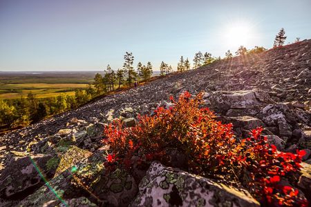 Guided easy hike in Finland deepest gorge in Pyhä-Luosto National Park