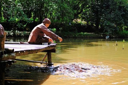 Vietnam Buddhist Tours: Buddhism In Hue, Philosophy Of Life