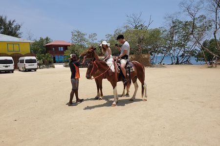 Roatan Excursion: Horseback Ride / Plus Sloth Park and Beach Break