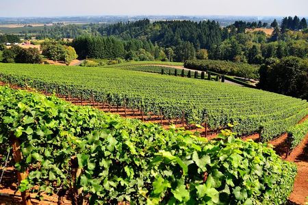 Amador County Wine Tasting Tours max 14 pax Private Wine Tours