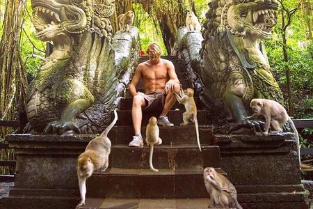 Mongkey Forest , Water Temple , Waterfall and Rice Terraces