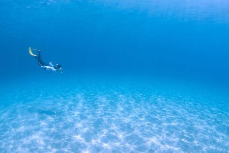 Let's swim with sea turtles in Yakushima!Snorkeling Tour
