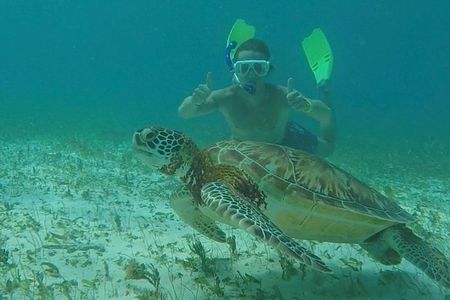 Hol Chan Full-Day Bucket List Snorkeling and Marine Life Tour