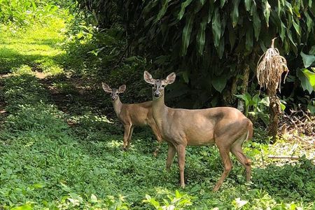 Atitlan Hiking and Birding - Day tour from Antigua