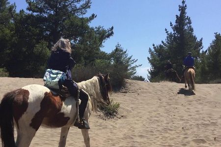 Horse Ride & BBQ in Ritoque Beach&Dunes FROM VALPO. Private Tour