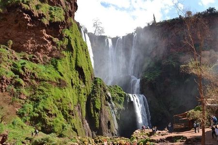  From Marrakech: Ouzoud Waterfalls Guided Tour & Boat Ride