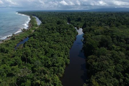 Corcovado Siren Overnight: Sleep in the most bio-intense forest.