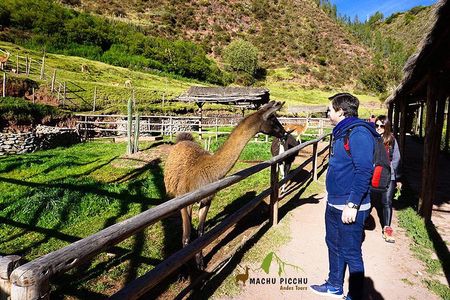 Tour to Sacred Valley: Tour Pisaq, Ollantaytambo, and Chinchero.