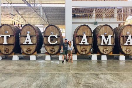 1 Day Tour to Huacachina from Lima (Dunebuggy + Vineyards)