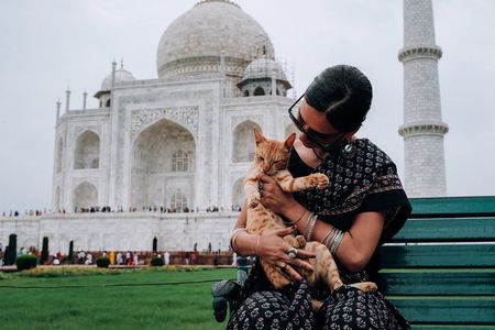 Agra Half-Day Tour of Taj Mahal and Agra Fort by Car
