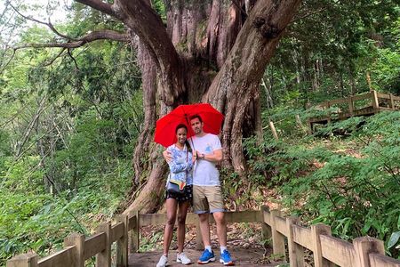 Hiking tour around Takayama city (About 3 hours)